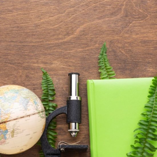 El futuro del turismo sostenible en áreas naturales