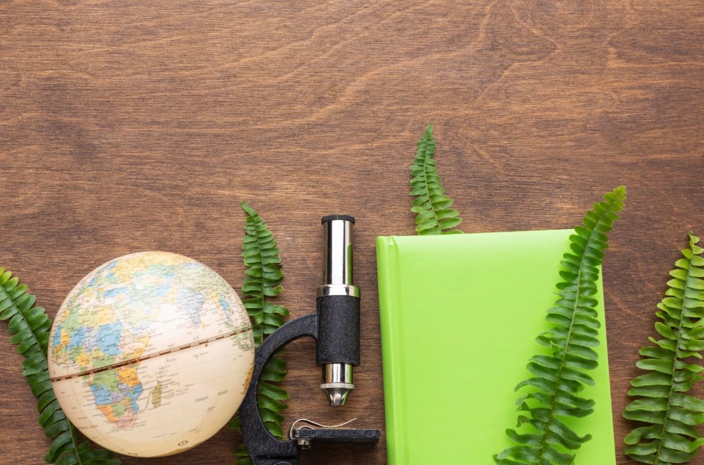 El futuro del turismo sostenible en áreas naturales